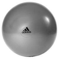 adidas 55cm Gym Ball - Grey