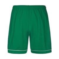 Adidas Squadra 17 Shorts green