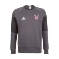 adidas fc bayern mnchen pullover performance trainingssweat grey