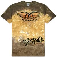 Aerosmith - Ray Logo