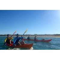 Afternoon Ningaloo Reef Kayaking and Snorkeling Tour