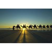 Afternoon Broome Town Tour Including Cable Beach with Optional Sunset Camel Ride