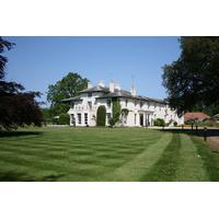 Afternoon Tea Temptation