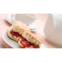 Afternoon Tea for Two at Craig-y-Dderwen