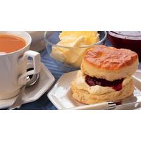 Afternoon Tea and Vineyard Tour for Two at Wroxeter Roman Vineyard