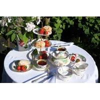 Afternoon Tea and Vineyard Tour with Wine Tasting For Two