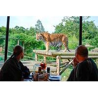 Afternoon Tea with the Tigers