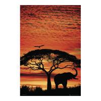 africa sunset elephant maxi poster 61 x 915cm