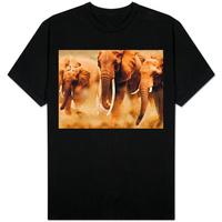 African Elephants