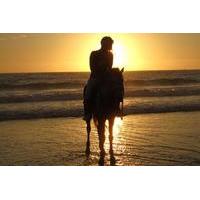 Agadir Horse Riding Paradise Valley and Taghazout Beach