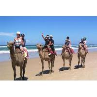 agadir 2 hour camel ride