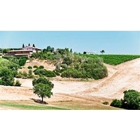 Agriturismo La Buca di Bellugi