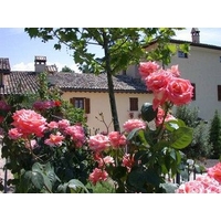 Agriturismo Sasso Rosso