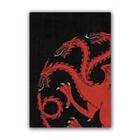 Agot House Targaryen Art Sleeve