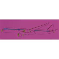 airplane by michael craig martin