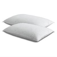 Aj Foam Hollowfibre Pillow (Pair)