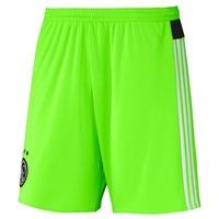 Ajax Away Shorts 2015/16 Green