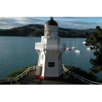 akaroa return shuttle from christchurch