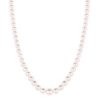 Akoya Pearl Graduated Necklace