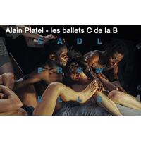 alain platel les ballets c de la b nicht schlafen theatre tickets sadl ...
