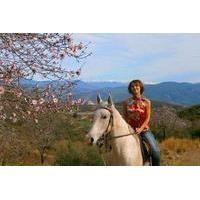 Alanya 3 Hour Horse Back Riding