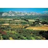 Alpilles Day Trip from Avignon Including St Rémy de Provence, Les Baux de Provence and Lunch