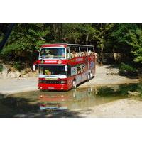 Alanya Full Day City Sightseeing Tour with Lunch at Dimcay River