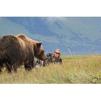 Alaska Bear Country Day Trip to Katmai or Lake Clark by Airplane