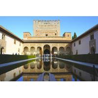 Alhambra Generalife and Nasrid Palaces Guided Walking Tour in Granada