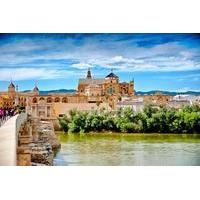 Alcazar, Mosque of Cordoba, Jewish Quarter and Synagogue: Guided Day Tour from Seville