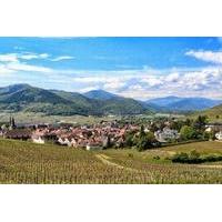 Alsace Villages and Wine Day Trip from Strasbourg