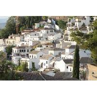 Albayzin and Sacromonte Walking Tour from Granada