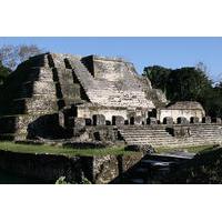 Altun Ha Maya Ruins from San Ignacio