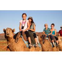 Alice Springs Camel Tour