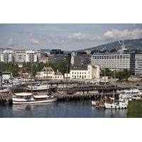 All-Inclusive Oslo City Tour: Viking Ship Museum, Vigeland Park, Polarship and Fram Museum or Kon-Tiki Museum