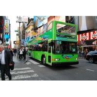 all city nyc hop on hop off double decker bus tour and liberty cruise
