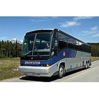 Alberta Transfer: Banff, Jasper, Lake Louise, Calgary and Kananaskis