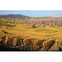 Alsace Half Day Wine Tour from Colmar