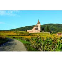 Alsace Full Day Wine Tour from Colmar