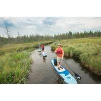 Algonquin Park Adventure Lodge 3- or 4-Day Trip