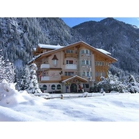 Alpen Hotel Panorama