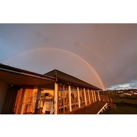 Altiplanico Isla de Pascua