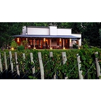 Algodon Wine Estates and Champio...