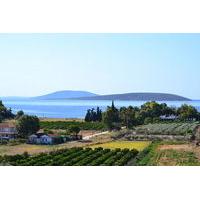 Alexandros Apartments