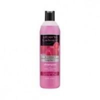 alberto balsam raspberry shampoo