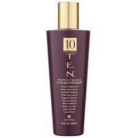 Alterna Ten Perfect Blend Conditioner 250ml