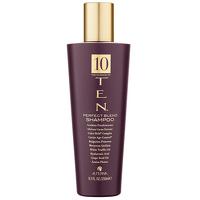 alterna ten perfect blend shampoo 250ml