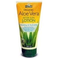 Aloe Vera Lotion (200ml) Bulk Pack x 6 Super Savings