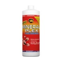 all stars mineral plex 1000ml melone