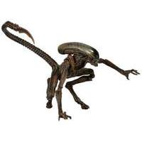 Alien 3 - Dog Alien Brown Series 8 Action Figure